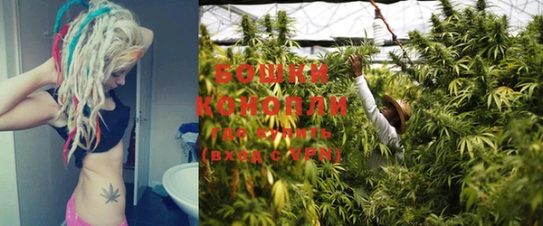 твердый Козловка