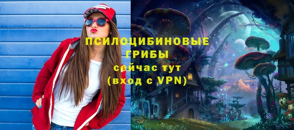 твердый Козловка