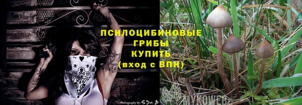 твердый Козловка