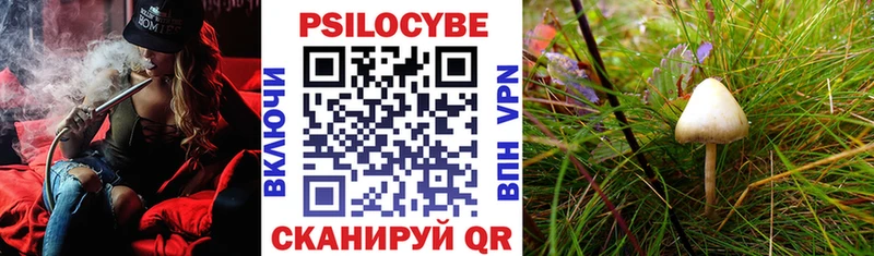 Купить где  Байкальск  Галлюциногенные грибы Magic Shrooms 